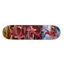 Recherche de dragon comp skateboards Coloré