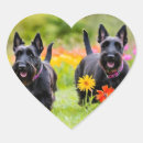 Suche nach schottische aufkleber Blume
