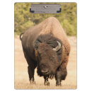 Suche nach wild lebende tiere klemmbrett Consumerproduct