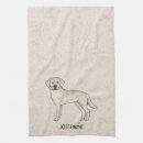 Recherche de labrador retriever cuisine linges Chien