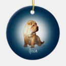 Recherche de chien de shar pei Rides