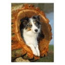 Recherche de chien bleu posters Pour elle