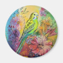 Suche nach parakeet magnete Papagei