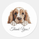 Suche nach cocker spaniel aufkleber Hundeschenk