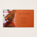 Recherche de papillon orange cartes visite Insecte