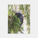 Suche nach weißkopfseeadler decken Wald