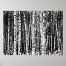 Suche nach holzkohlen poster Grau