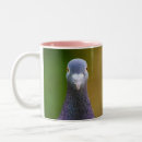 Recherche de pigeons tasses Nature