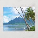 Recherche de palmier cartes postales Paradis