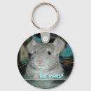 Recherche de chinchilla accessoires Menton