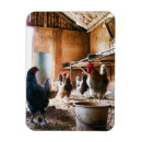 Recherche de poule petite magnets Pour tous