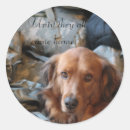 Recherche de chien militaire autocollants Armée