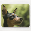 Suche nach wachsamkeit mousepads Farbbild