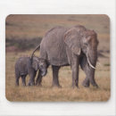 Suche nach afrikanischer elefant mousepads Wilde tiere