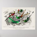 Suche nach vintage kolibris poster Blume