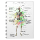 Suche nach menschliche anatomie kleine notizbücher Wissenschaft