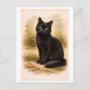 Recherche de dessin de chat cartes postales Illustration