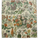 Recherche de adolphe Plante