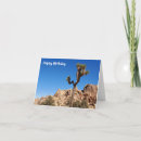 Suche nach joshua tree karten Wandern