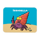 Recherche de crabes magnets Pour tous