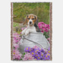 Suche nach beagle geschenke Für sie