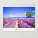 Recherche de provence cartes postales Champs