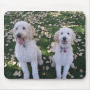 Recherche de automne feuille tapis souris Animal