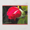 Suche nach blumen kreationen Fotografie