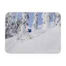 Recherche de poudre magnets Alpin