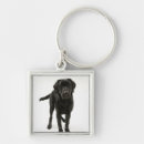 Suche nach schwarzer labrador schlüsselanhänger Studioschuß