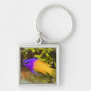 Suche nach bunte fische schlüsselanhänger Riff