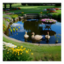 Suche nach gänse poster Blume