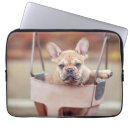 Recherche de french bulldog électronique Canine