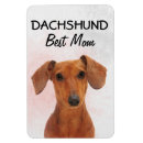 Suche nach dachshunds magnete Dackel