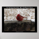 Recherche de cardinaux posters Rouge