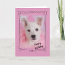 Suche nach angel karten Weiß