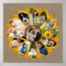 Suche nach vintage sonnenblume poster Für sie/ihn