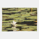 Recherche de lotus cuisine linges Étang