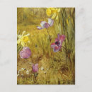 Recherche de peintre cartes postales Rose