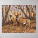 Suche nach dosen poster Natur