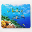 Suche nach tiefsee mousepads Koralle
