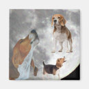 Recherche de wal marché Chien
