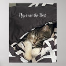 Suche nach schlafender poster Süß