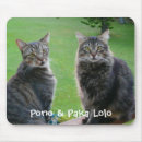 Recherche de minou tapis souris Noir