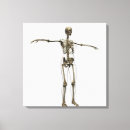 Suche nach menschliche knochen leinwandbilder Biologie