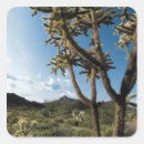 Suche nach parks aufkleber Arizona