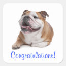 Suche nach gratulation aufkleber Hund