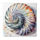Suche nach nautilus fliesen Meer