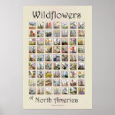 Recherche de cru floral posters Fleur