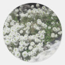 Recherche de couverture autocollants Blanc